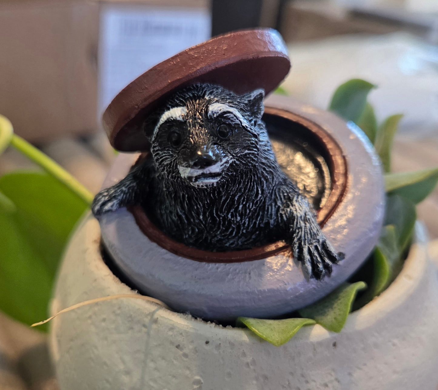 Pot Hole Racoon