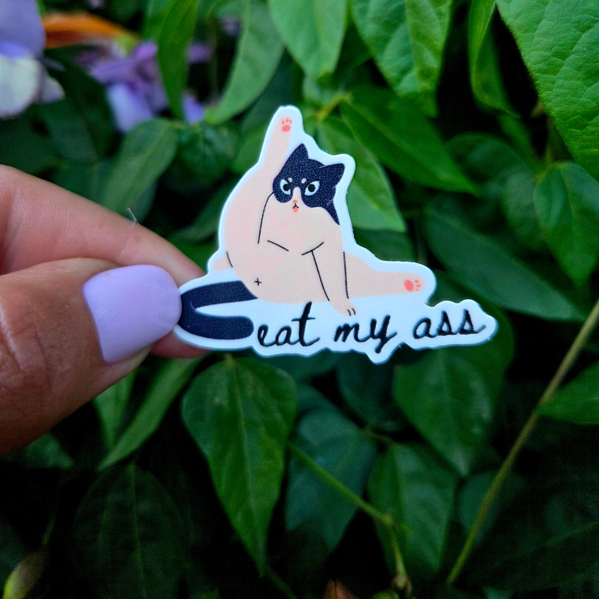 Eat My Ass Sticker