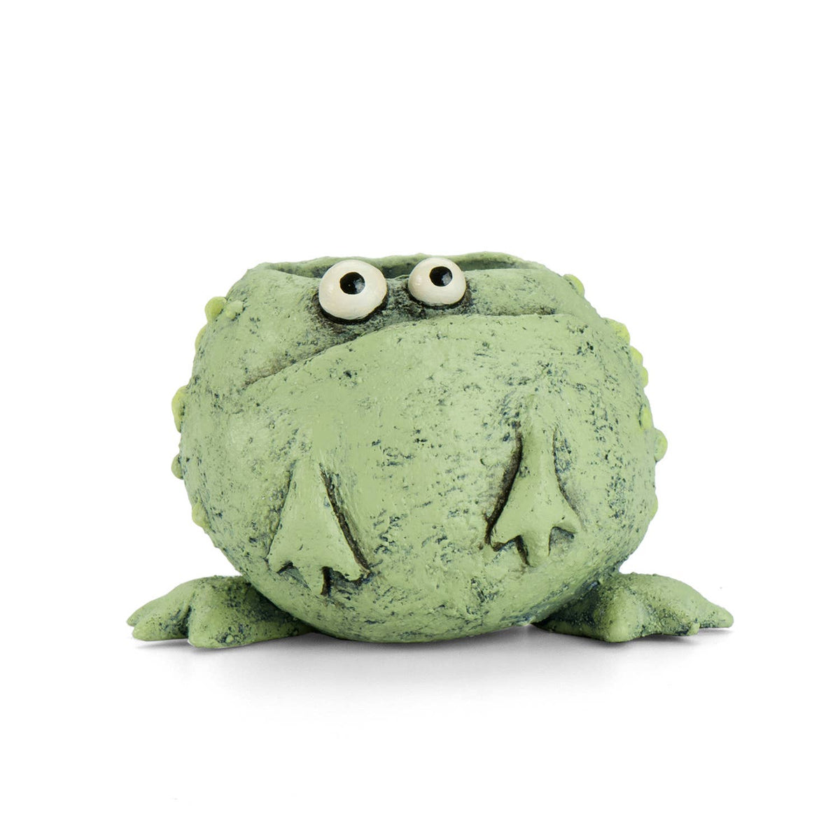Freckles The Frog Blobhouse Planter (soil+succulent!)