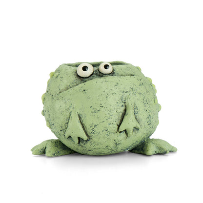 Freckles The Frog Blobhouse Planter (soil+succulent!)