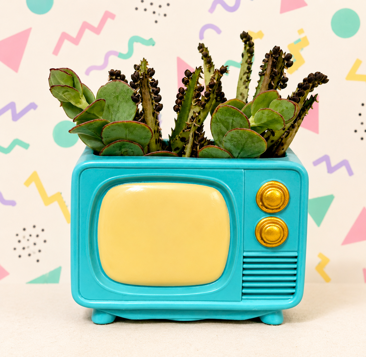 TV succulent planter