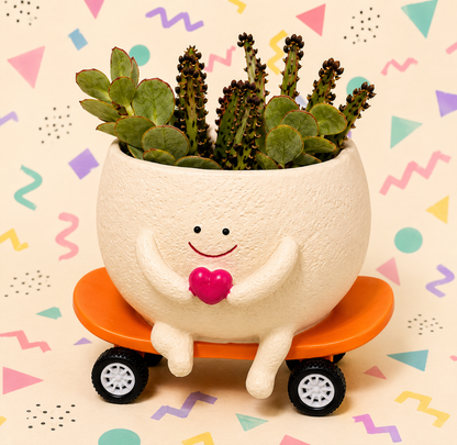 Sk8 Board Succulent Planter