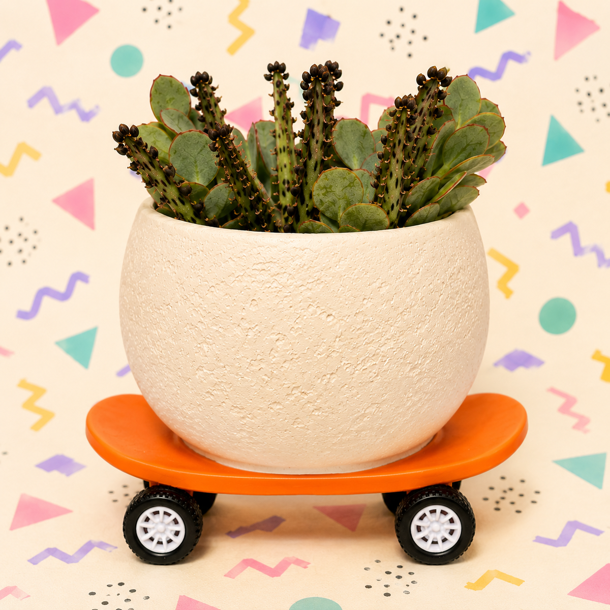 Sk8 Board Succulent Planter
