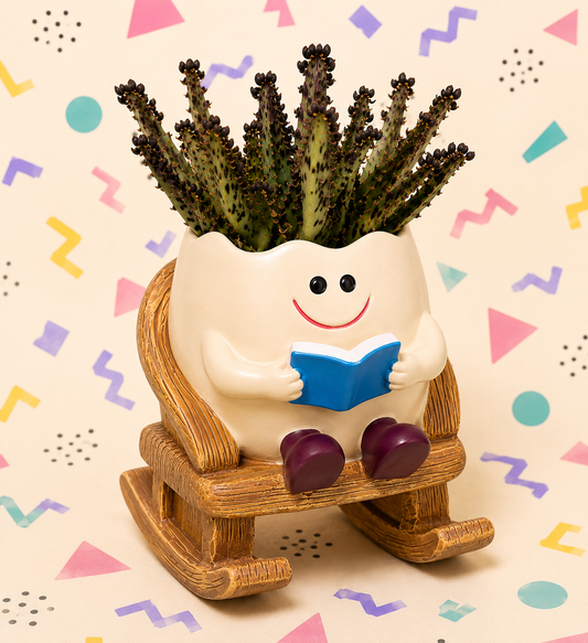 Rocking Chair Succulent Planter