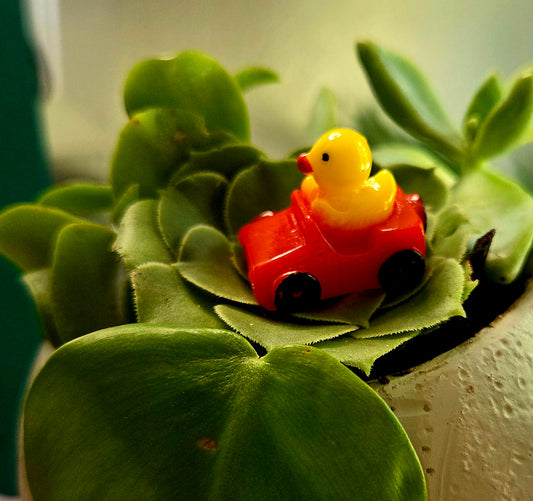 Commuter Duck Trinket (Surprise pull 3ct.)