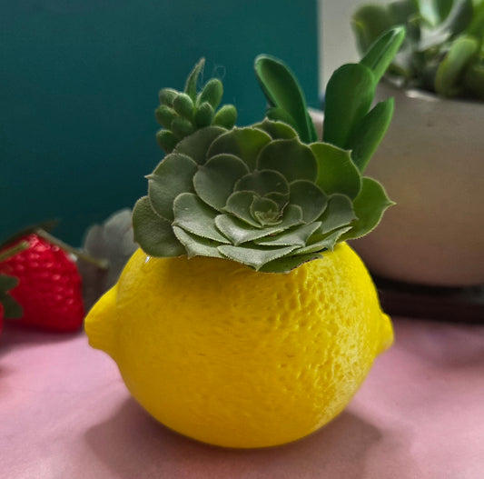 Lemon Planter (comes w/ soil + succulent)