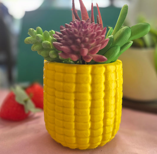Corn on the Cob Planter (comes w/ soil + succulent)