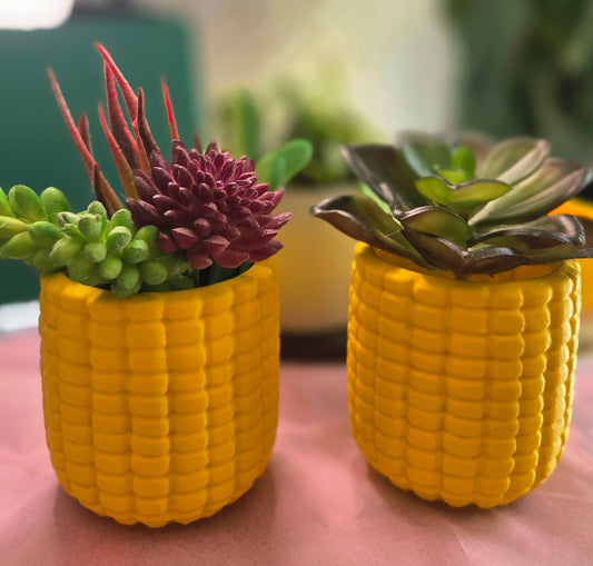 Corn on the Cob Planter (comes w/ soil + succulent)