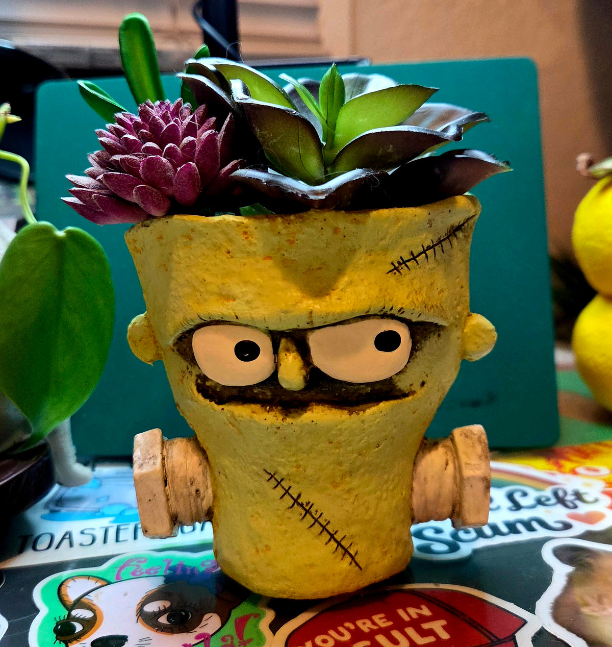 Frankenstein Planter (includes bag of dirt + succulent)