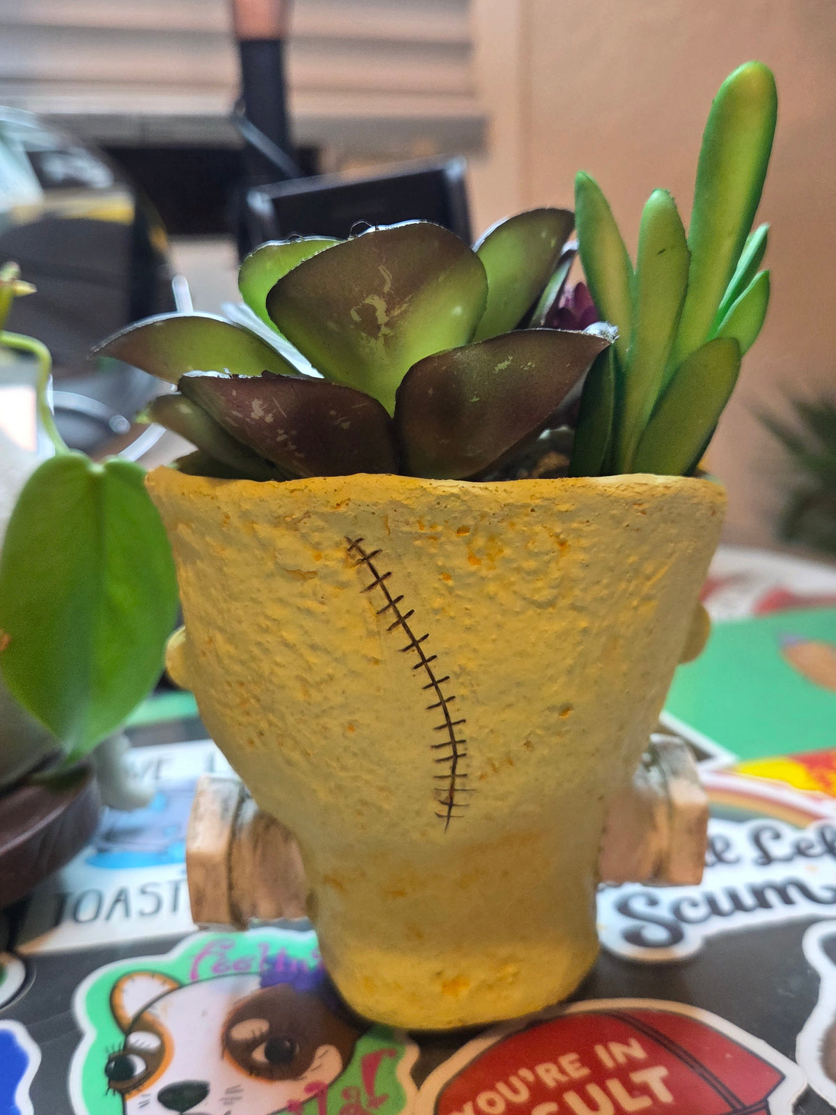 Frankenstein Planter (includes bag of dirt + succulent)
