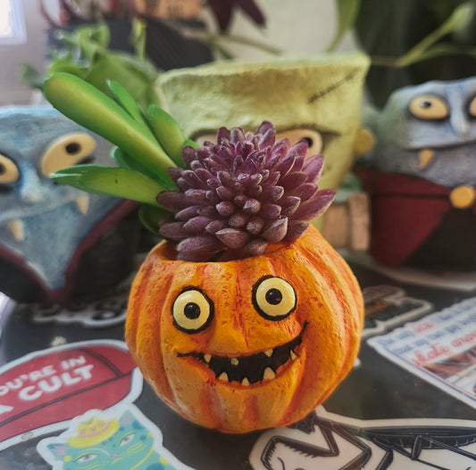 Mini Jack-o-Lantern Planter (includes bag of dirt + succulent)