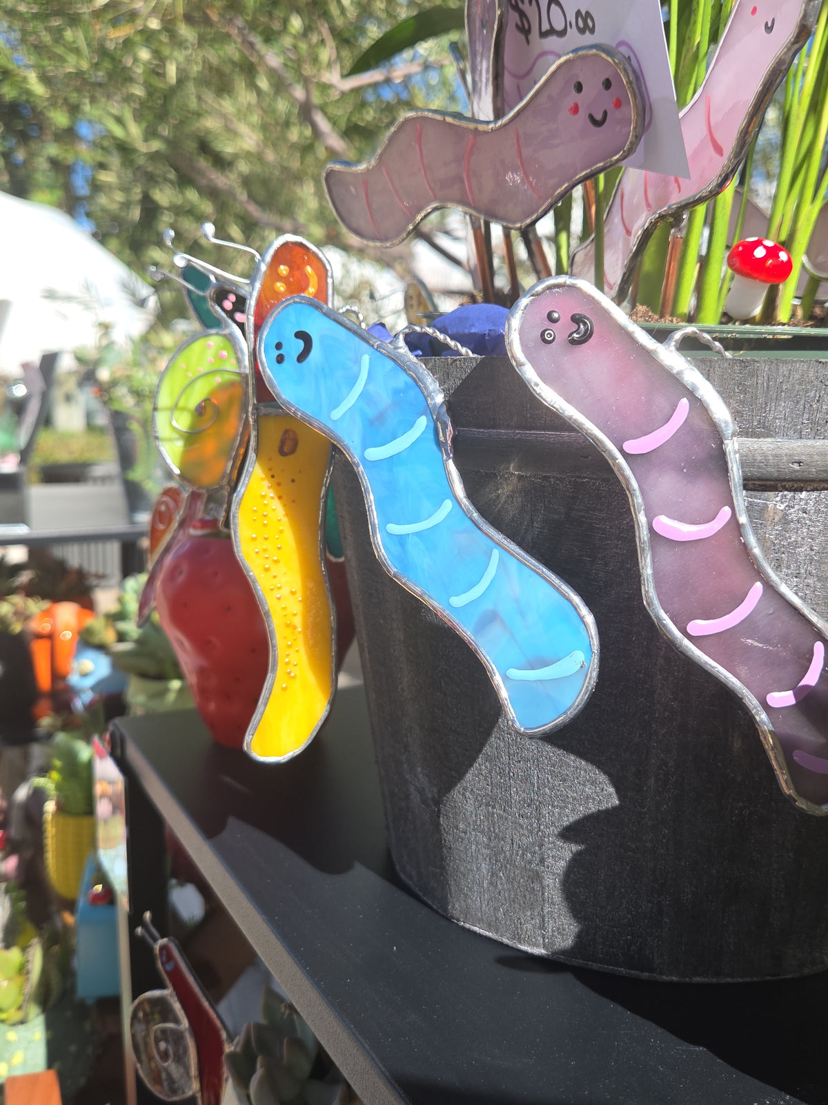 Surprise Pull Worm Plant Hanger
