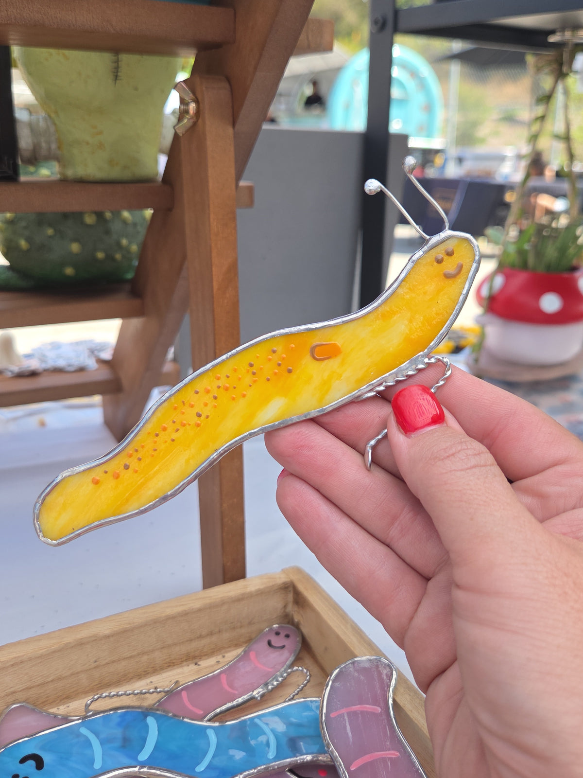 Surprise Pull Worm Plant Hanger
