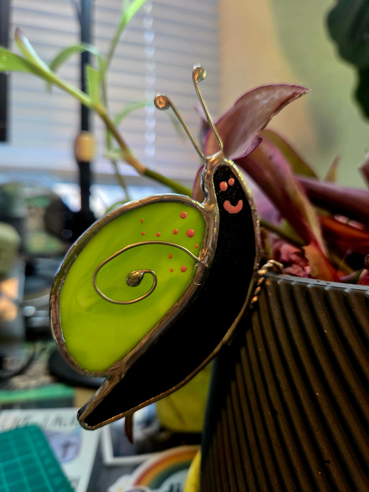 Surprise Pull Snail Plant Hanger