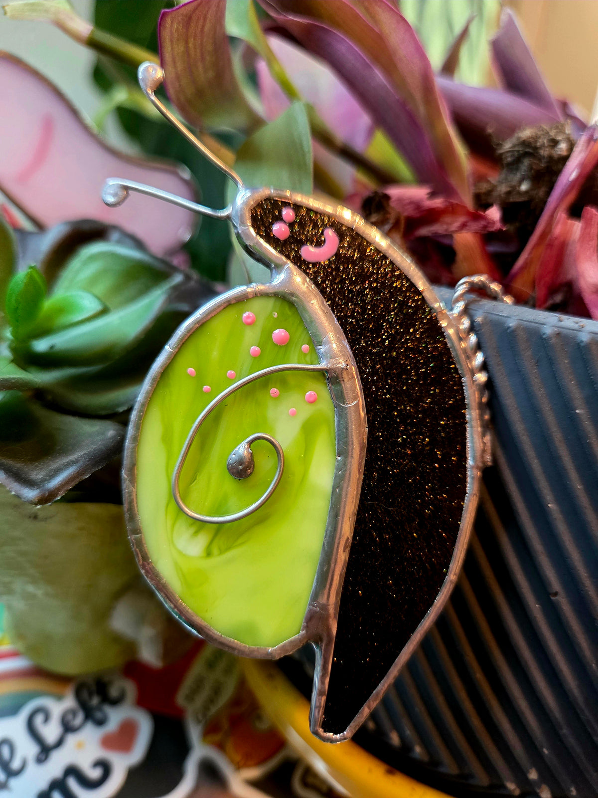 Surprise Pull Snail Plant Hanger