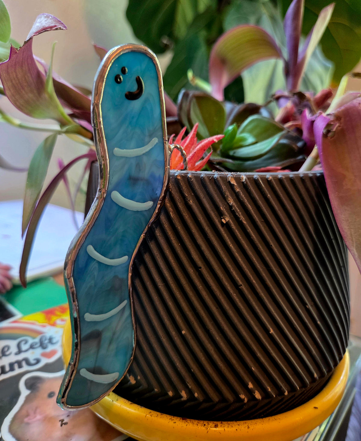 Surprise Pull Worm Plant Hanger