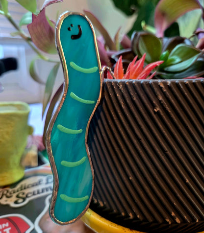 Surprise Pull Worm Plant Hanger