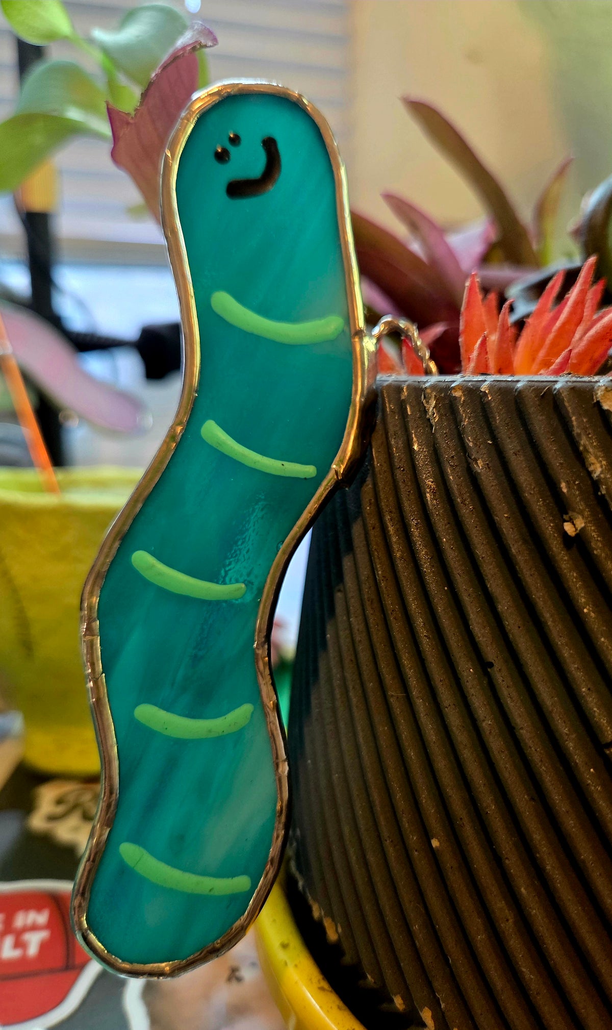 Surprise Pull Worm Plant Hanger