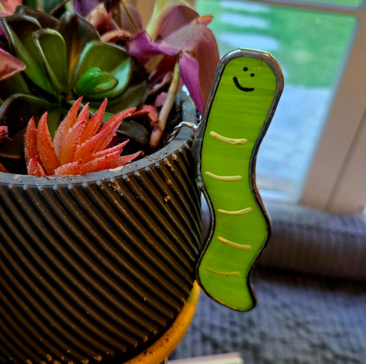Surprise Pull Worm Plant Hanger