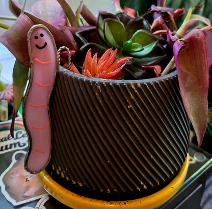 Surprise Pull Worm Plant Hanger