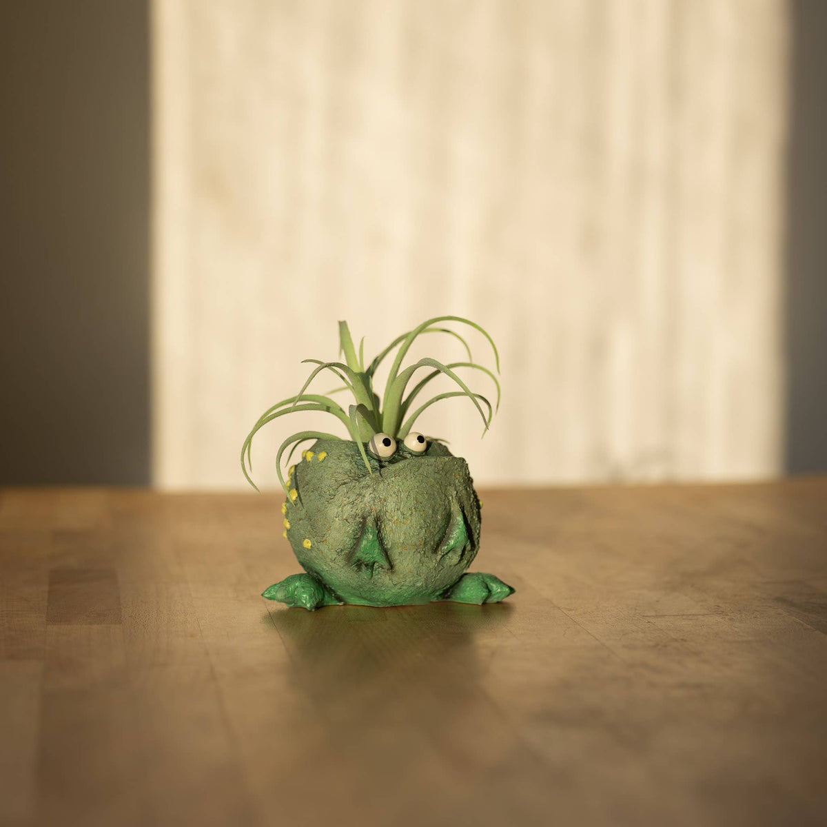 Freckles The Frog Blobhouse Planter (soil+succulent!)