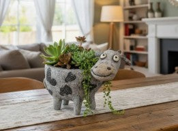 Baby Cow Blobhouse Planter + bag of soil and succulent(s)!