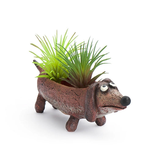 Baby Dobby Doxin Mini Blobhouse Planter