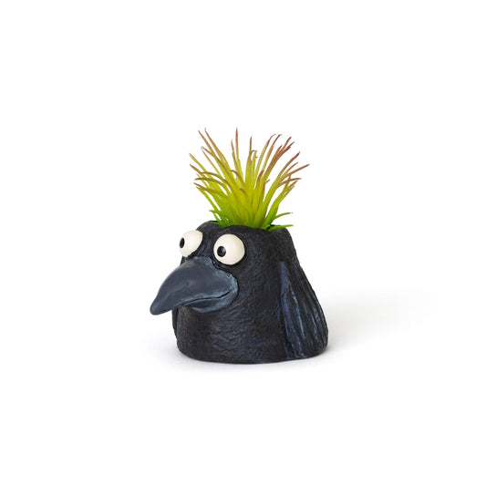 Baby Eddie Crow Blobhouse Planter