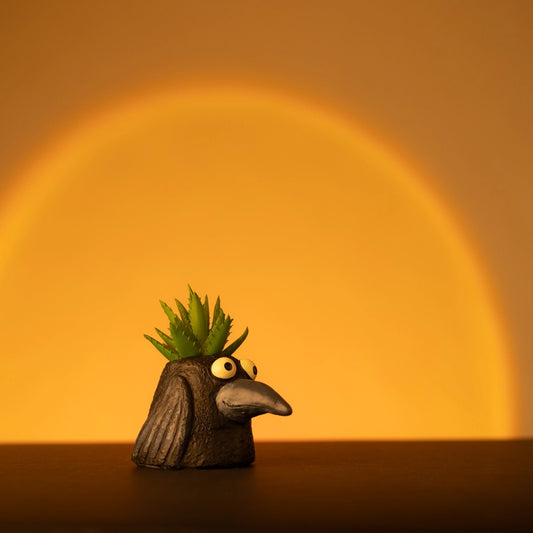 Baby Eddie Crow Blobhouse Planter