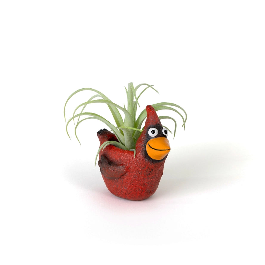 Baby Red Cardinal Blobhouse Planter