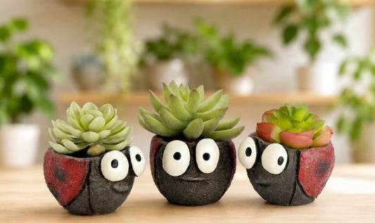 Ladybug Blobhouse Planters Set of 3
