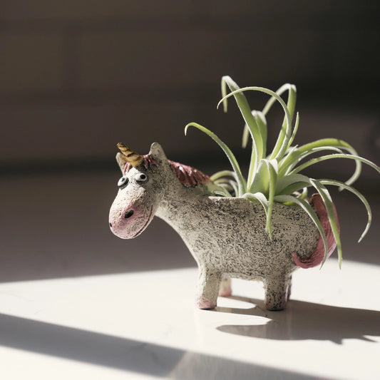 Percival the Unicorn Blobhouse Planter +bag of soil & succulent(s)!
