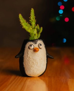 Waddles the Penguin Blobhouse Planter +bag of soil & succulent(s)!