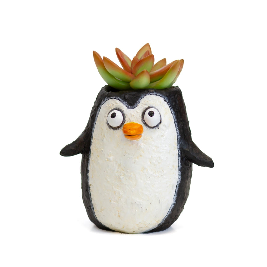Waddles the Penguin Blobhouse Planter +bag of soil & succulent(s)!