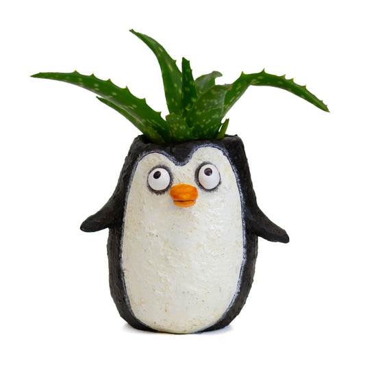 Waddles the Penguin Blobhouse Planter +bag of soil & succulent(s)!
